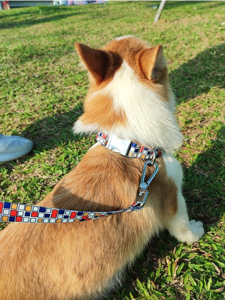 Mondrian plastic buckle collar