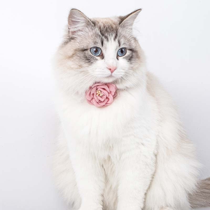 Simulation Camellia Flower Fancy Cat Collar